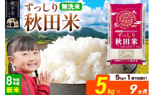《令和8年産 新米受付》《定期便9ヶ月》秋田県 横手市産 ブレンド米【無洗米】5kg（5kg×1袋） [米 お米 こめ 白米 無洗米 ブレンド米 小分け ご飯 ごはん 秋田県産 横手市]