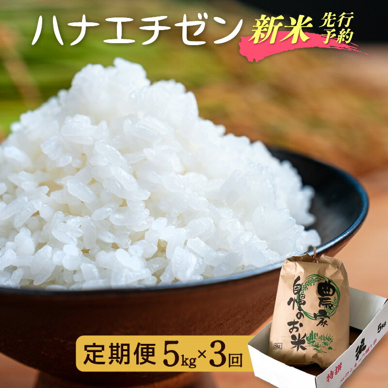 【ふるさと納税】【楽天限定】 令和8年【新米】定期便≪3ヶ月連続お届け≫ ハナエチゼン 5kg×3回（計15kg）【華越前 はなえちぜん 人気品種 こしひかり 血統品種】【 玄米 対応可 】【2026年8月下旬以降発送開始！】[e35-d002]