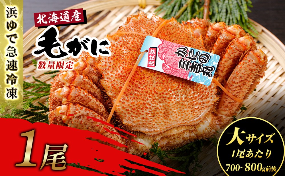 
                  【大サイズ】北海道産 冷凍ボイル毛ガニ (700g-800g前後) 1尾 
                