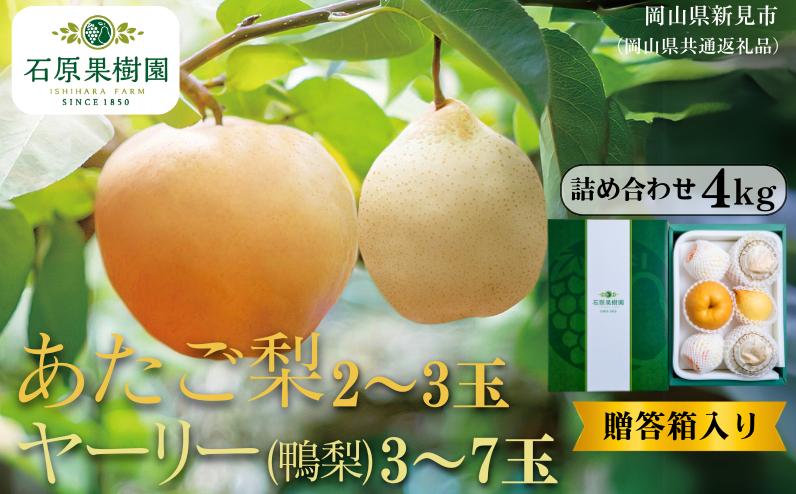 
            詰め合わせ 4kg 贈答箱 赤秀 あたご梨2～3玉・ヤーリー(鴨梨)3～7玉 【先行予約 2026年11月中旬から順次発送】
          