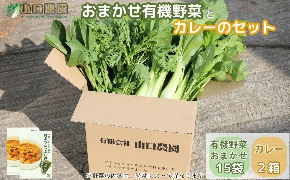 
                  （チルド）山口農園　有機野菜　おまかせセット ＋ カレー２箱　詰合せ / 山口農園 有機野菜 伝統野菜 オーガニック ベジタリアン 定期便 カレー 無農薬 野菜セット 送料無料 無農薬 農家直送 ふるさと納税 詰め合わせ 奈良県 宇陀市 ふるさと納税
                