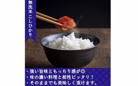 無洗米 奈良大和路のお米　コシヒカリ 5kg ／ 奈良県産 全農パールライス 米 お米 白米 奈良県 田原本町