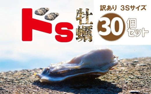 【佐々木商店の米崎牡蠣】 殻付き ドS牡蠣 30個 不揃い 訳あり 事業者支援 【 かき 牡蠣 三陸産牡蠣 BBQ バーベキュー 鍋 炊き込みご飯 カキフライ 岩手 陸前高田市 】 RT3266-30