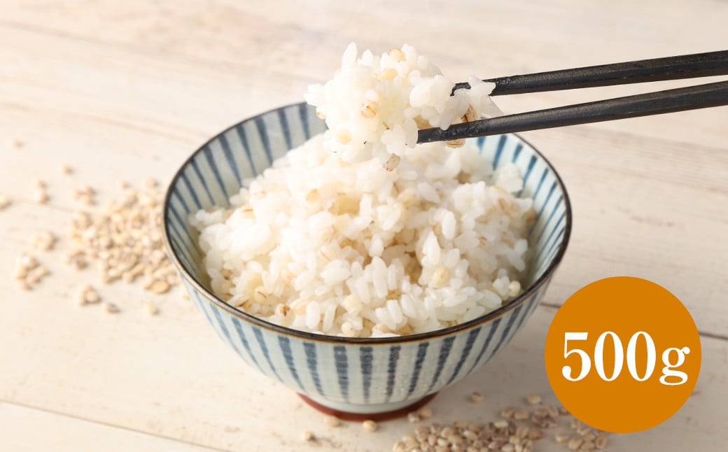 ご飯にもサラダにも！もち丸麦 500g 雑穀米 雑穀 麦 もち麦 麦ごはん 麦ご飯 サラダ 食物繊維 常温 お取り寄せ 国産 九州産 熊本県 湯前町