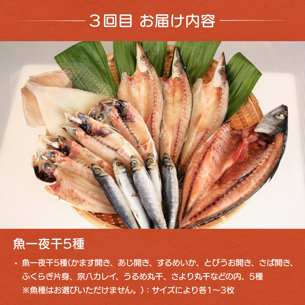 【6ヶ月連続お届け】氷見堀与 一夜干・昆布〆刺身と山海の幸＜氷見鰤・ほたるいか・のどぐろ入＞ 富山県 氷見市 干物 詰め合わせ 魚介類 富山県 氷見市 干物 詰め合わせ 魚介類