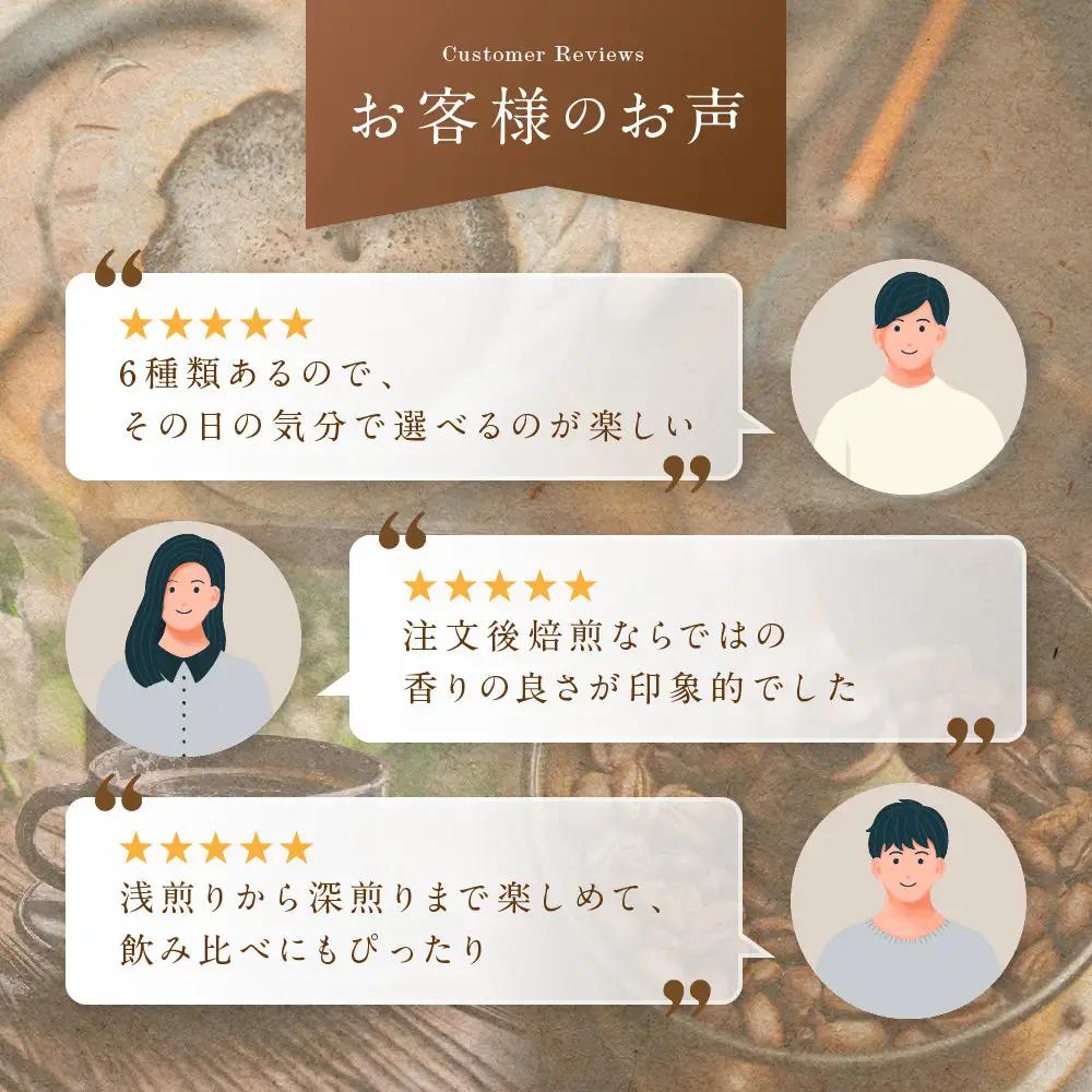 【粉】コーヒー 100g×6種類セット 注文後焙煎 コーヒー