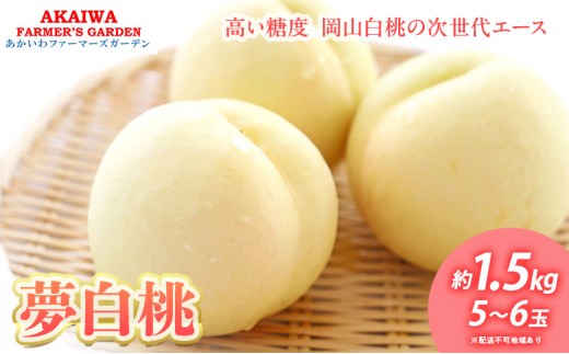 
                  桃 2026年 先行予約 おかやま 夢 白桃 約1.5kg 5～6玉 もも 岡山県 赤磐市産 フルーツ 果物 あかいわファーマーズガーデン
                