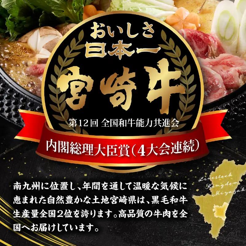 宮崎牛よくばり定期便全6回 ステーキ 焼肉 スライス