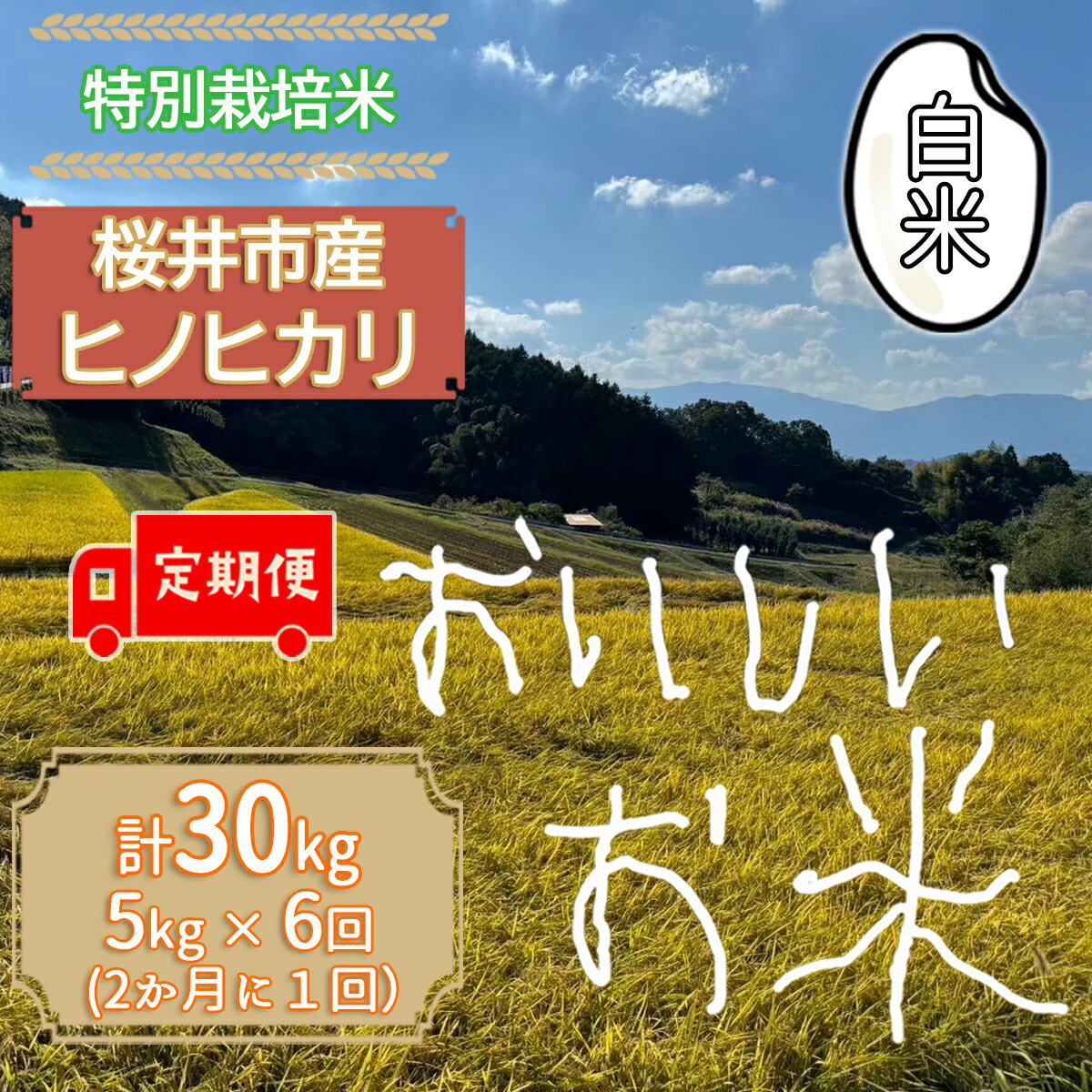 【ふるさと納税】＜特別栽培米＞桜井市高家産 ヒノヒカリ 5kg(白米) 定期便（（隔月）全6回）／ブランド米 玄米 白米 奈良県産 桜井市産 奈良のお米 ひのひかり 藤本農園