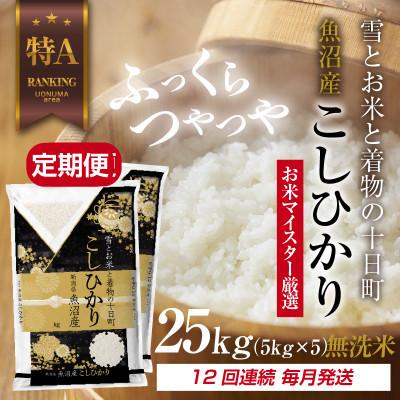 ふるさと納税 十日町市 【毎月定期便】[無洗米]魚沼産 コシヒカリ 25kg 精米 (お米の美味しい炊き方ガイド付)全12回