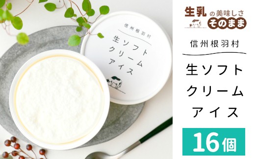 2026年7月1日～寄付金額変更★〈1週間以内発送〉特集でご紹介中！★ふわっと軽い口溶け★搾りたて生乳を使用した！『生ソフトクリームアイス』16個セット  アイスクリーム アイス　生乳 牛乳 定番 ミルク