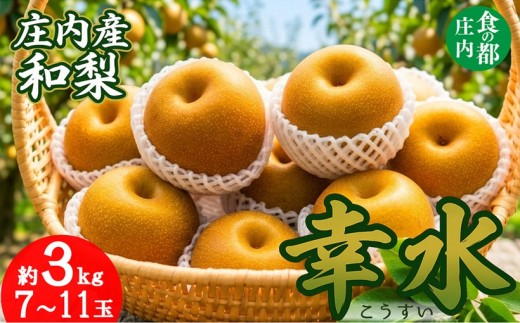 【令和8年産】食の都庄内　庄内産和梨【幸水】約3kg　※令和8年8月末頃～9月中旬配送