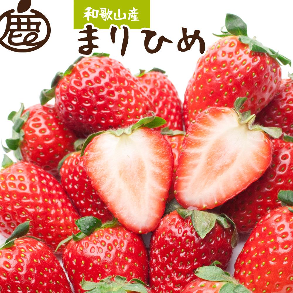 ＜4月より発送＞朝摘み 完熟 まりひめ約600g（300g前後×2トレイ）和歌山 いちご