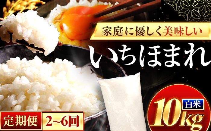 
                  お米 【 選べる定期便回数 】 いちほまれ 米 10kg 福井県産ブランド米 精米 白米（2ヶ月 ～ 6ヶ月）定期便 / お米 米 白米 精米 ブランド米 銘柄米 おこめ ご飯 ライス ふっくら 10キロ お米 米 予約 備蓄 保存食 おにぎり お弁当 産地直送 一等米 相当 ブランド米 お取り寄せ 送料無料 小浜市 / 梅田東米穀店[BFEK032]
                