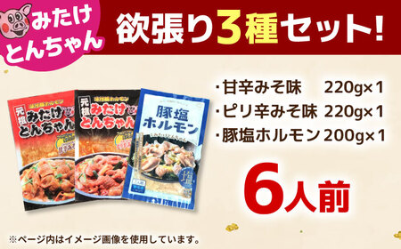 「元祖みたけとんちゃん」 3種セット（6人前）/ モツ もつ 白モツ ホルモン / 御嵩町 / 藤よし[AVAA056]