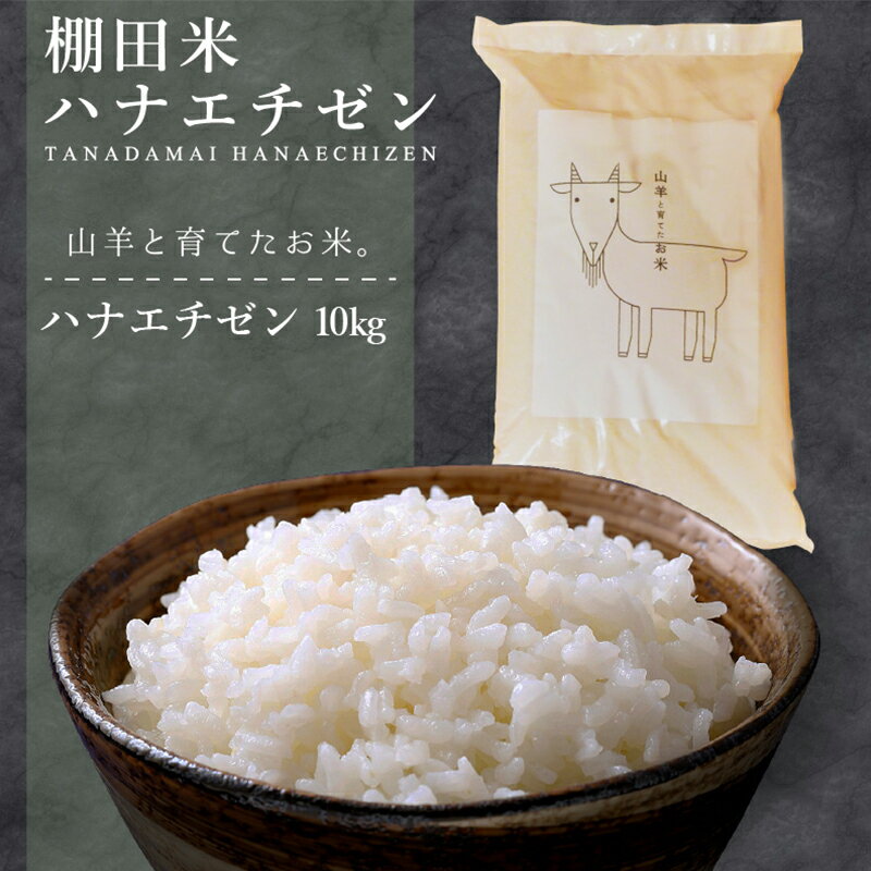 【ふるさと納税】令和7年産 山羊と育てた こだわりの棚田米『ハナエチゼン』10kg (単一原料米) ＜数量限定＞【福井のおいしいお米 お米 米 コメ 白米 精米 棚田米 ごはん ご飯 国産 北陸産 ブランド米 10kg 10キロ】