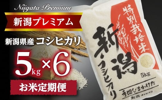 【令和7年産】『定期便』新潟プレミアム 特別栽培米 コシヒカリ 白米5kg × 6か月 FC093001