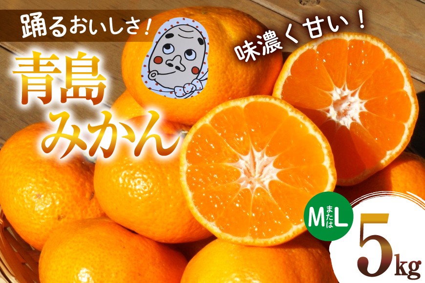 
                  【期間限定発送】踊るおいしさ！味濃く甘い！ 青島みかん 5kg [奈須農園 宮崎県 日向市 452061478] 果物 フルーツ 柑橘 みかん ミカン
                