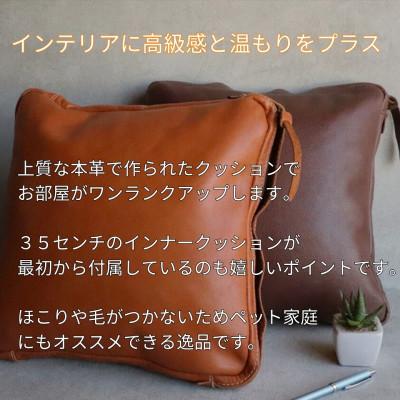 ふるさと納税 福岡市 【革工房Japlish】本革クッションカバー【チョコ】クッション付属《本革製品》 EJ03VC02 |  | 01