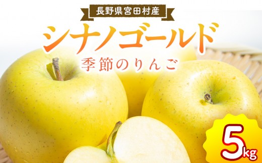 
                  季節のりんご『シナノゴールド』（５ｋｇ）（予約制）（りんご 林檎 フルーツ ビタミン 果物 くだもの 上伊那 宮田村 長野 信州 甘い 新鮮 人気 ギフト 贈答 お祝い プレゼント 贈り物 特産品）
                