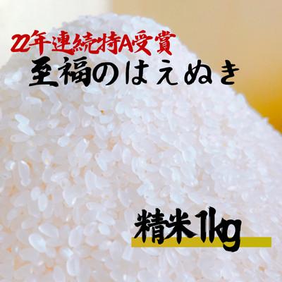ふるさと納税 新庄市 至福のはえぬき(精米)1kg