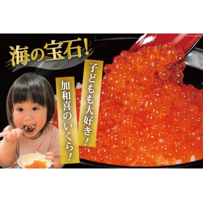 ふるさと納税 気仙沼市 味付いくら 鱒卵 500g×1パック [かわむら家 20564995] |  | 02