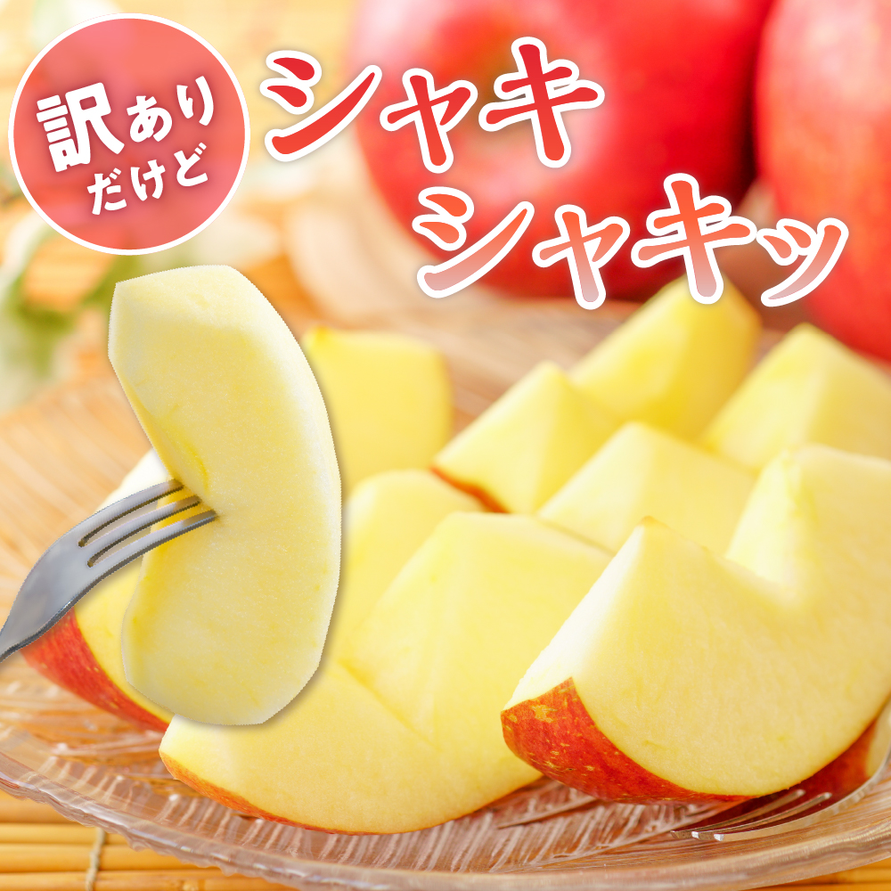 【令和6年産 先行予約】※訳あり※ サンふじ満杯詰(約9.5kg) 東根市 山形県 東根農産センター提供　hi027-131