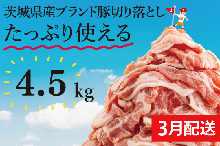 
            【数量限定】【3月発送】茨城県ブランド豚切り落とし4.5kg (300g×15p)【肉 豚肉 切り落とし 小分け 真空 真空パック 茨城県産 肉料理 肩ロース ウデ モモ バラ 水戸市 水戸】（EC-21-3）
          