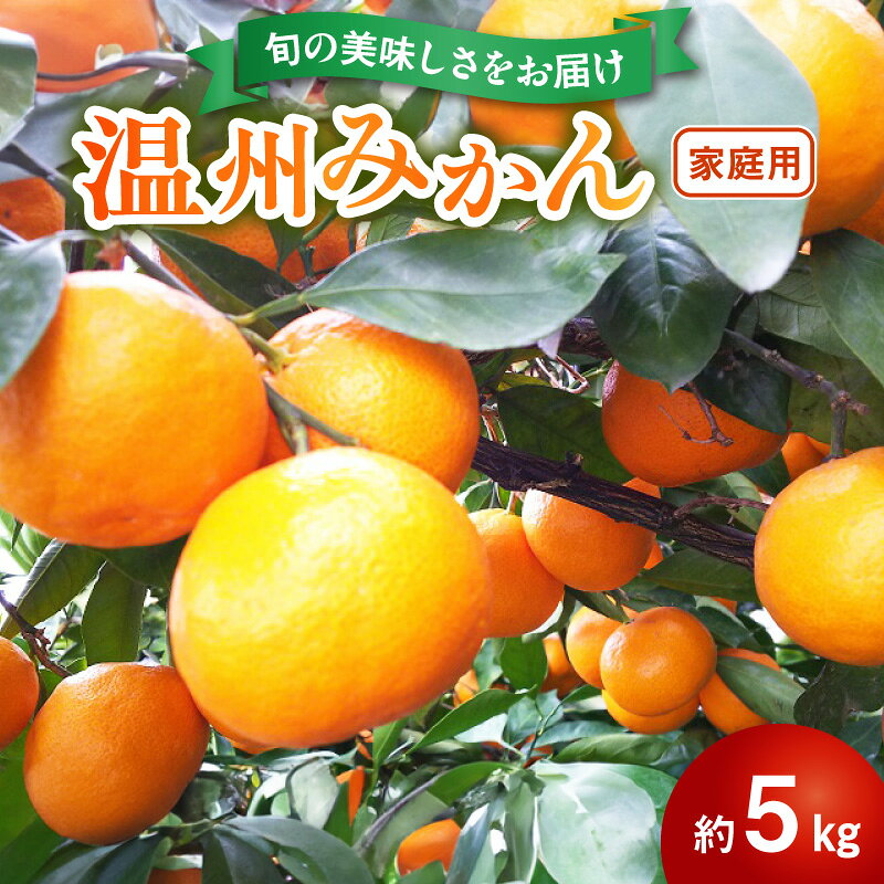 【ふるさと納税】【令和8年熊本地震復興支援】 家庭用 温州みかん 約 5kg 1箱 進栄 柑橘 果実 常温 果物 ビタミンC 豊富 みかん 旬 国産 フルーツ デザート 熊本 九州 食品 お取り寄せ お取り寄せフルーツ 送料無料【熊本県宇土市】