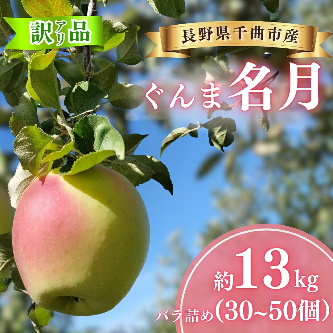 【ふるさと納税】ぐんま名月 [お楽しみ用 わけあり品] バラ詰め 約13kg (30個~50個) 【半蔵農園】 | ぐんま 名月 りんご 林檎 リンゴ 信州りんご 長野県 千曲市