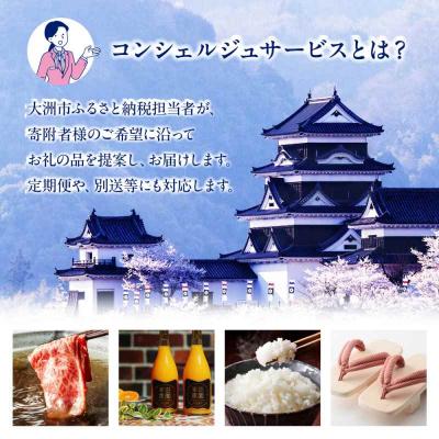ふるさと納税 大洲市 【大洲市コンシェルジュ】返礼品おまかせ!寄付額50万円コース [AGXX027] |  | 01