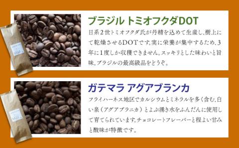 自家焙煎 コーヒー豆 ブラジル トミオフクダDOT 100g×3個セット 300g　[cc-0008]