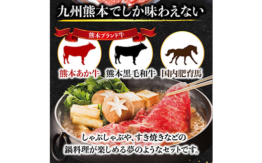 【お肉の食べ比べ】 熊本県産 和牛 馬肉 しゃぶしゃぶ 食べ比べ セット 計900g スライス ＜ 黒毛和牛 200g / あか牛 200g / 馬肉 500g ＞ 冷凍 058-0685