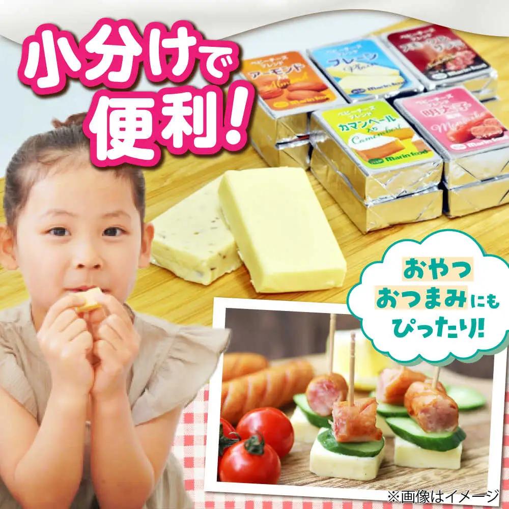 ベビーチーズブレンド 明太子風味100個[AQCM007] チーズ ベビーチーズ