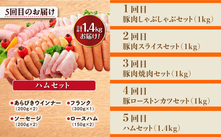 【5回定期便】ナルちゃんファーム豚肉お試しコース 豚肉4kg ハムセット1.4kg 総量5.4kg 大村市 おおむら夢ファームシュシュ[ACAA075] 国産 豚肉 モモ ハム スライス こま切れ 赤
