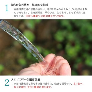 弘牛焼肉用400g 京のお肉処 弘 焼肉