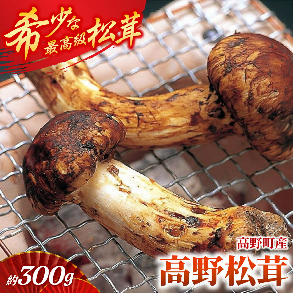 香り・歯応え・味ともに最高級！希少な国産松茸「高野松茸」300g【化粧箱入】【2024年10月上旬～10月下旬発送】