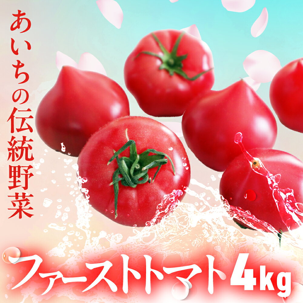 【ふるさと納税】ファーストトマト 4kg　|トマト とまと 高糖度 サラダ サンドイッチ 野菜 やさい 大玉 高糖度 贈答 プレゼント 贈り物 甘い おいしい 冬 春 極 JA 農協 JA愛知みなみ ファーストトマト 渥美半島 田原市