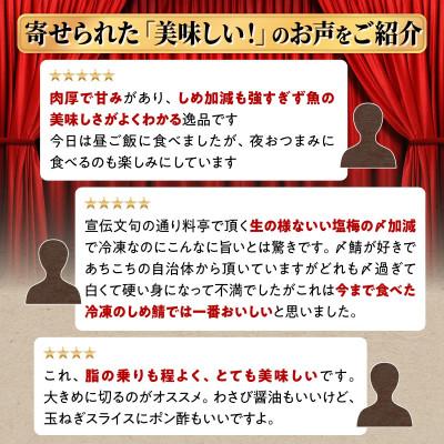 ふるさと納税 白糠町 北海道産 炙りしめ鯖 小サイズ 7枚 |  | 03