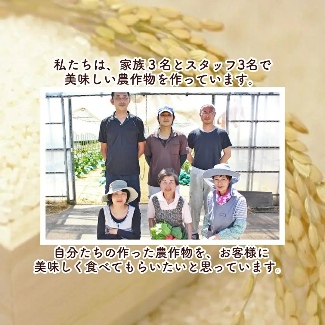 【令和8年先行予約】里芋 3kg 五泉産 2Lサイズ 大和早生 渡辺農園 | 新潟県 五泉市 さといも サトイモ 野菜 のっぺ