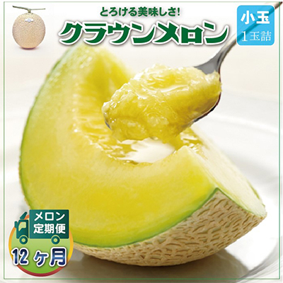 
                  ＜毎月定期便＞クラウンメロン 白等級 小玉1玉 静岡県産 高級 マスクメロン＜1年中お届け＞全12回【4012653】
                