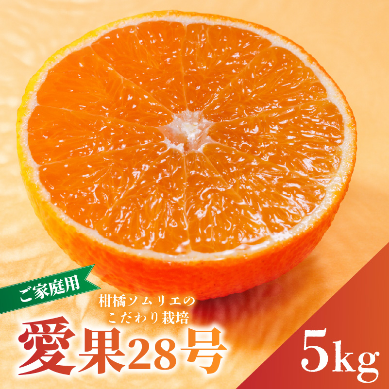 愛果28号 (紅まどんな と同品種) ご家庭用 5kg 【2026年11月下旬より順次発送】 | あいか 紅まどんな 紅マドンナ と 同品種 みかん まどんな ワケアリ 柑橘 みかん 果物 おすすめ 高級 人気 お取り寄せ グルメ ギフト 期間 ご当地 愛媛県 松山市 蓮果園