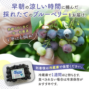 【2026年発送】 先行予約 木津川市産ブルーベリー2kg 生ブルーベリー 新鮮 国産 果物 小分け 080-03