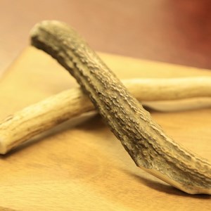 鹿の角（Ｓサイズ×2本）京都丹後産　ペット犬用おやつ　ドッグガム