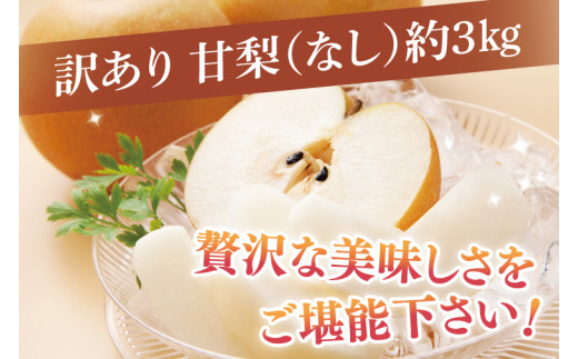 【8月中旬より発送】【数量限定】訳あり 甘梨（なし） 約3㎏（茨城県共通返礼品／かすみがうら市）【果物 くだもの フルーツ 梨 ナシ なし 採れたて 新鮮 完熟 わけあり 期間限定 産地直送 茨城県 