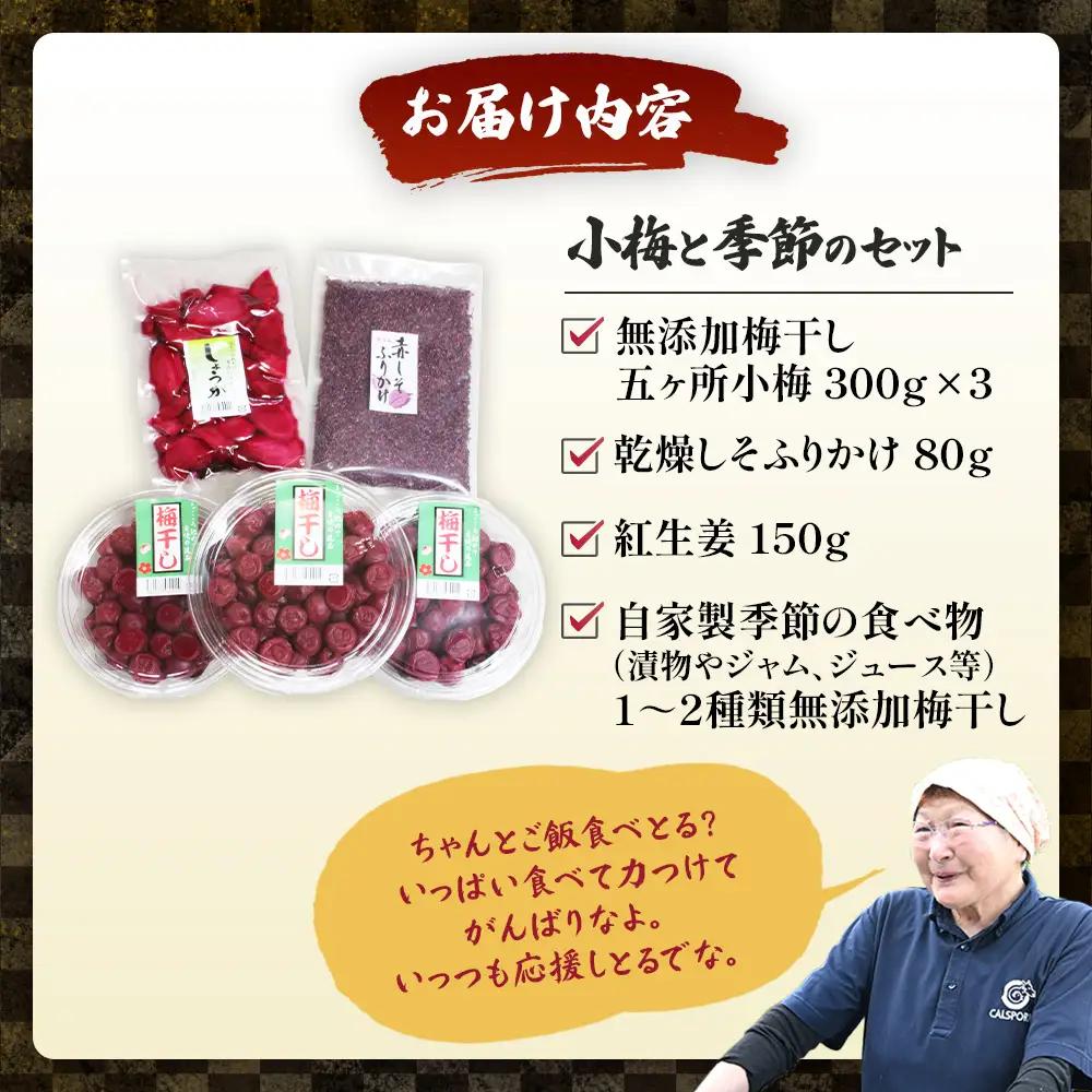 梅干しと季節の食べ物セット 無添加梅干し｜多気町産 TH-01