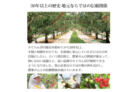 《先行予約 2024年度発送》完熟紅秀峰 バラ詰め 700g FSY-0204