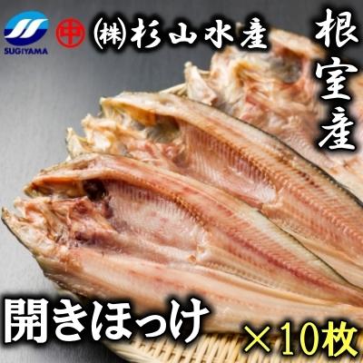 ふるさと納税 根室市 ＜12/17まで年内配送＞★冷凍開きほっけ260g前後×10枚 B-75006