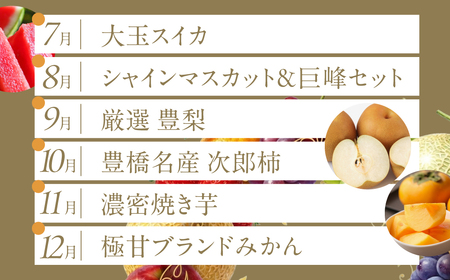 フルーツ定期便 12回 プレミアム 果物 どうまい