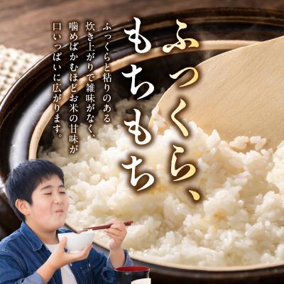 ふるさと納税 天草市 【6ヶ月定期便】天草五ッ星米 精米 5kg_S061-T06A |  | 01